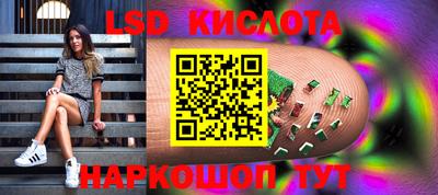гидропоника Гусев
