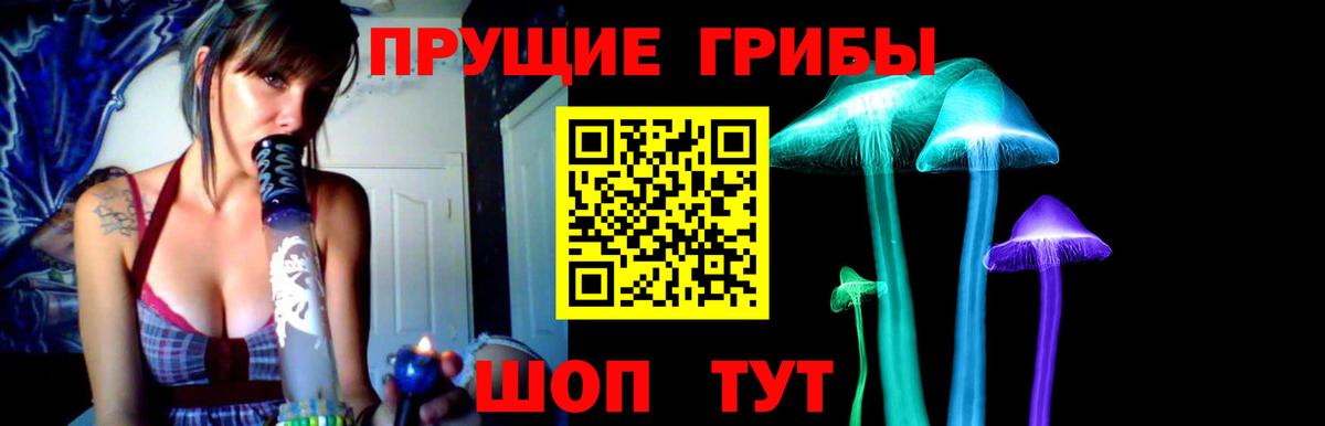 Новоуральск  Псилоцибиновые грибы Psilocybine cubensis  Вход с VPN 